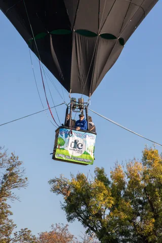 The hot air balloon floats above a line of autumn trees under a clear sky.
