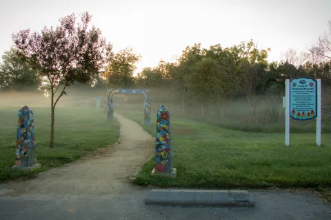 A misty path glows gold in the morning light, lined with young trees and painted posts.