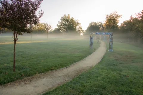 A second view of the misty path through the grove, glowing in early morning light.
