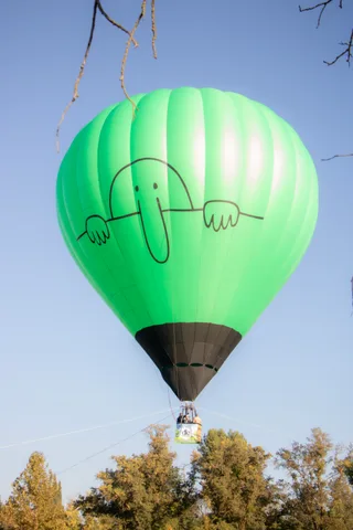 The balloon continues its descent toward the treeline below.