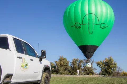 A green hot air balloon fills the frame against a clear blue sky.