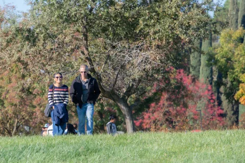 Two guests walk away across the grass field toward the trees.
