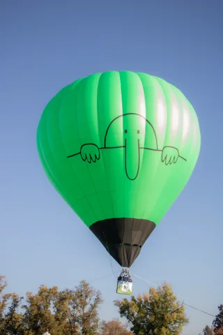 The balloon's dark green canopy descends against the sky above the trees.