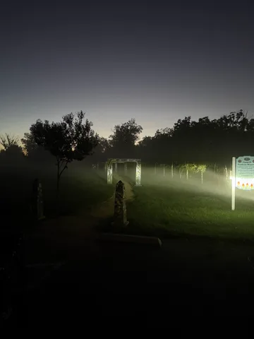 Misty trees and a faint sign are lit by beams of light before dawn.