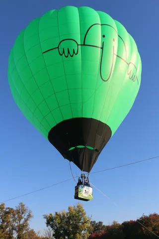 A close view of the green balloon fabric with a hand-drawn logo.