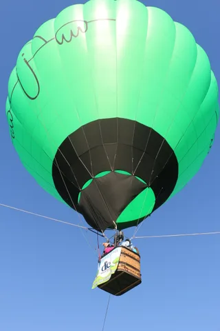 A green and black hot air balloon drifts across a clear blue sky above the park.