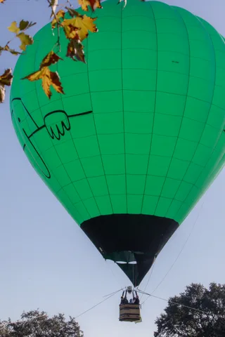 A green hot air balloon with its basket floats above the distant tree line.