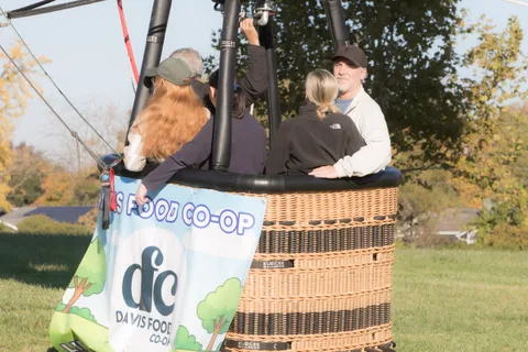 Wind blows through riders' hair as they lean into the basket rim, laughing.