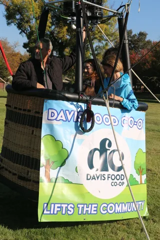 Another tight crop of the Davis Food Co-op logo on the basket banner.