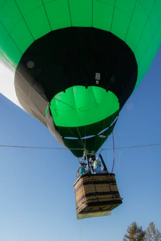 An abstract interior view of the balloon envelope in green and black.