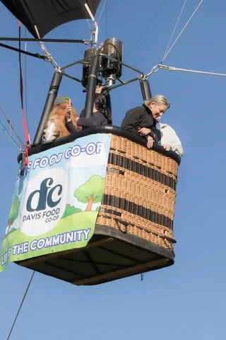 An older man leans over the basket rim beside the Davis Food Co-op banner.
