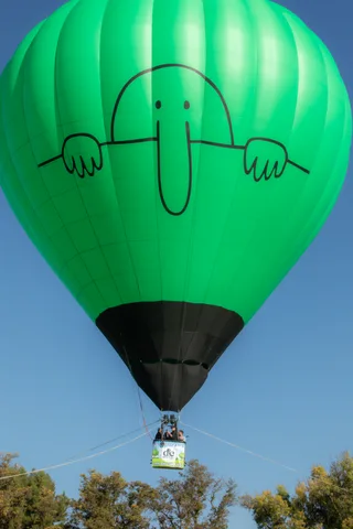 A dark hot air balloon envelope fills most of the sky above its small basket.