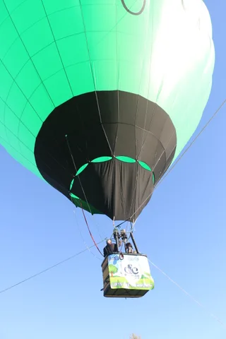A hot air balloon marked Davis Food Co-op billows overhead against a clear blue sky.