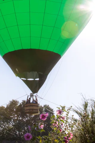 A green balloon seen above flowers in the foreground