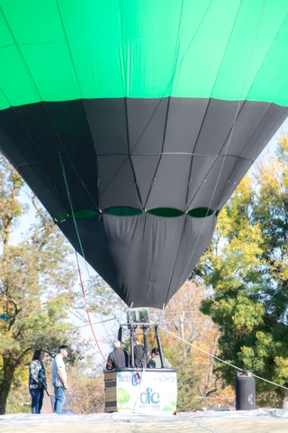 A green and black balloon rises above the trees