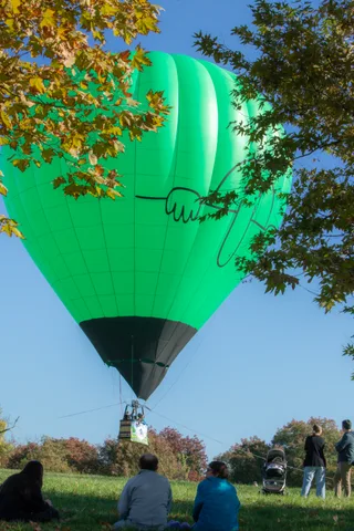 A green balloon seen through autumn branches above watchers