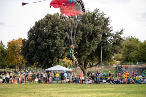 A skydiver comes in over the oaks toward the crowded field.