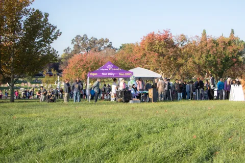 A crowd gathers around the vendor tents across the field