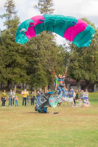 A skydiver stands on the field with the canopy still overhead.