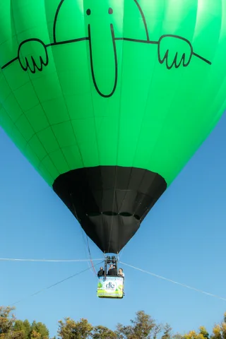 A green balloon with a face design climbs high overhead