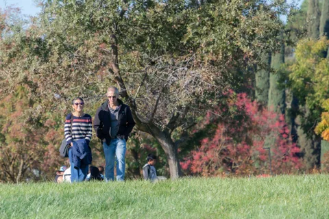 Two people stand on the grass under autumn trees
