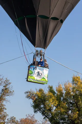 A hot air balloon rises above the treetops.