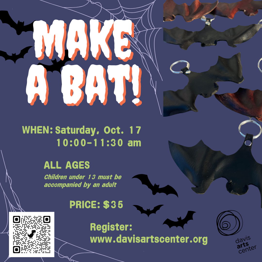 Davis Arts Center: Make a Bat workshop flyer