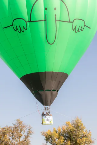 A green balloon floats above the treetops