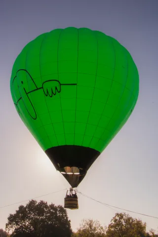 A green balloon floats high above the treetops