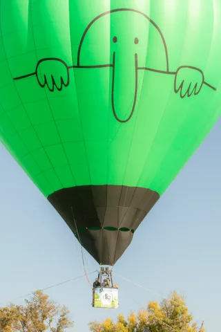 A green balloon floats above the treetops