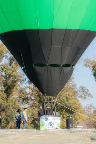 The underside of a green balloon envelope towers over the lawn