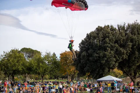 A skydiver clears the treetops on the final approach.