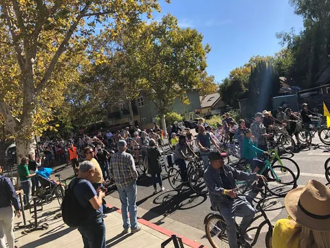 A wide crowd with bikes fills a tree-shaded park path.