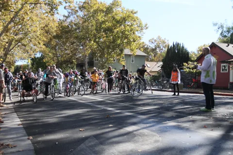 A distant line of riders moves along a tree-lined street.