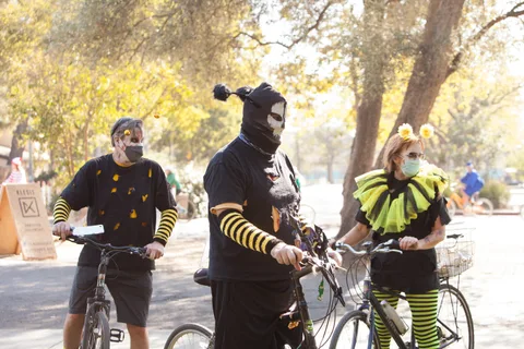 Three people in matching black and yellow bee costumes stand together with their bikes.