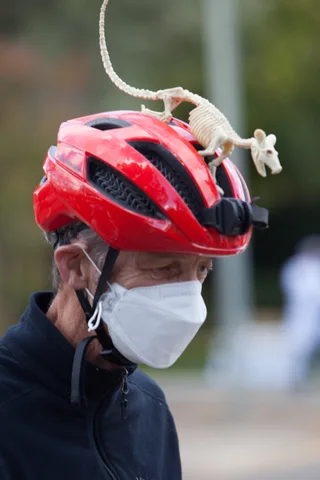 A toy skeleton mouse dangles from a decorated red bike helmet.
