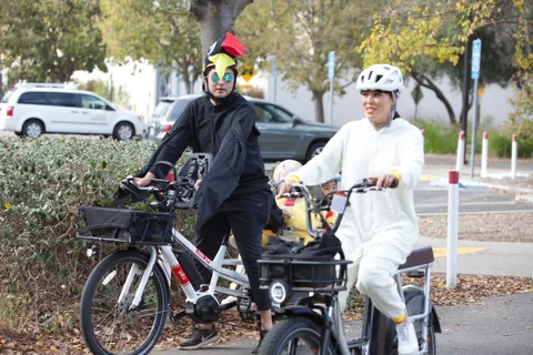 A rider in a rooster costume rides a cargo bike carrying a small child in a bunny costume.