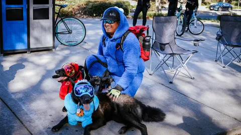 A man in a blue zombie hoodie pets his dog, dressed in a matching blue costume.
