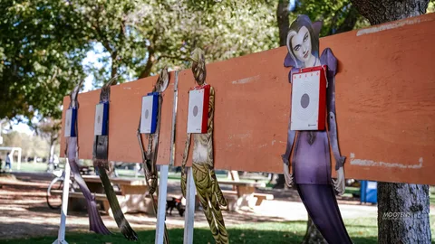 Cardboard target cutouts stand in a row at the shooting booth.