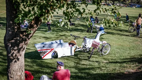 A bike pulls a whimsical shark-shaped trailer under a park tree.