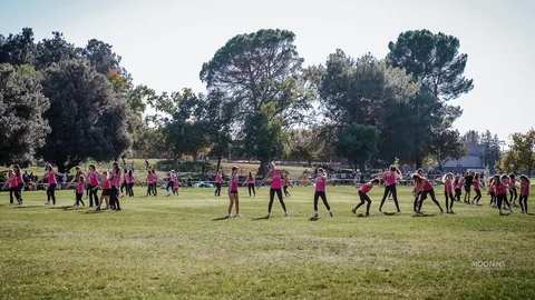 A distant view of the dance team performing on the open field.