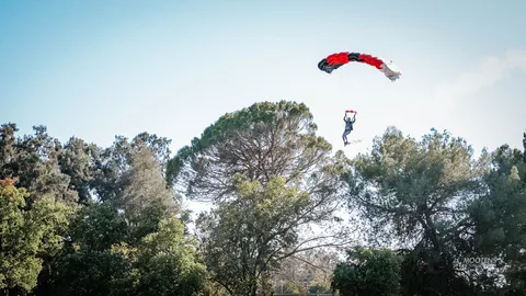 A skydiver descends under a red and black parachute trailing smoke over the treeline.