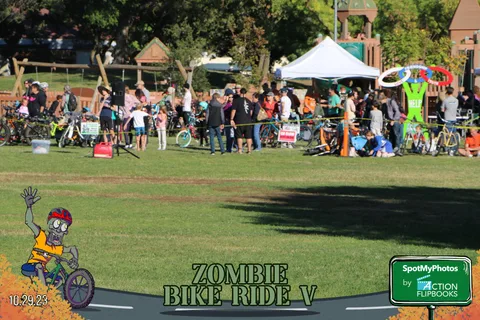 A crowd sits on the grass across the festival field under shady trees.