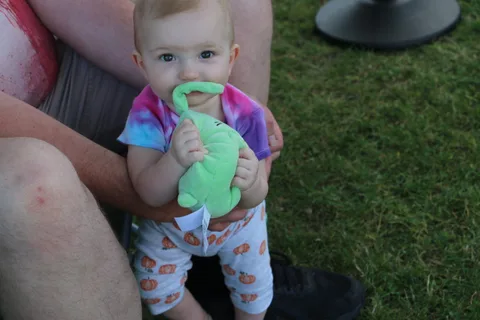 A baby chews on a soft toy while being held at the festival.