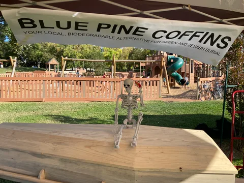 A toy skeleton sits on a wooden coffin beneath a Blue Pine Coffins banner advertising biodegradable burial.