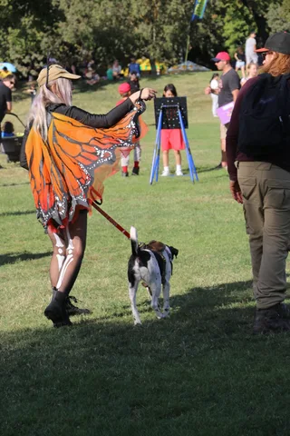 A woman in a monarch butterfly costume walks her service dog through the festival.