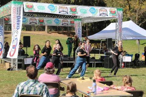 A crowd watches dancers perform on the festival stage.