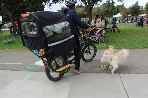 A man walks a small white dog beside a cargo bike on a park path.