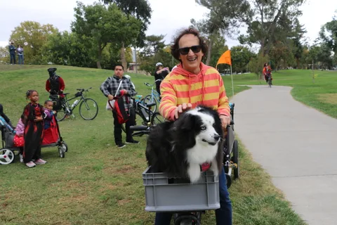 A man rides past with a dog in his front basket as others follow.