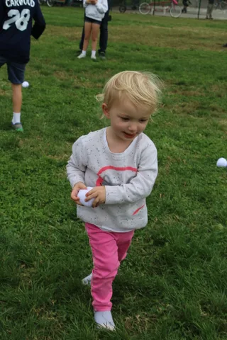 A toddler in a gray sweatshirt looks down thoughtfully while standing on the grass.